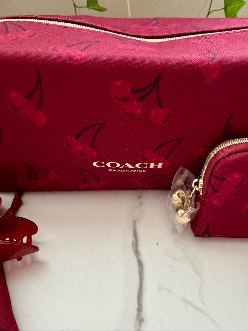 COACH 🍒 Cherry-Print Cosmetic beauty Pouch set - Picture 3 of 6